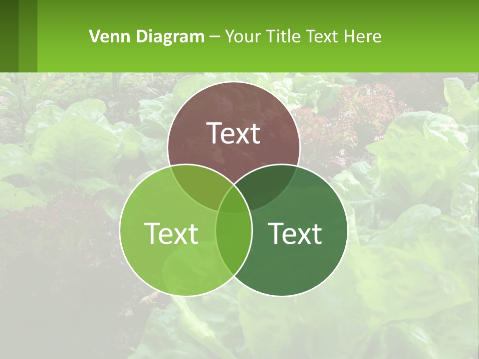 White Part Industry PowerPoint Template