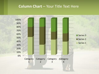 Climate Cool Condition PowerPoint Template