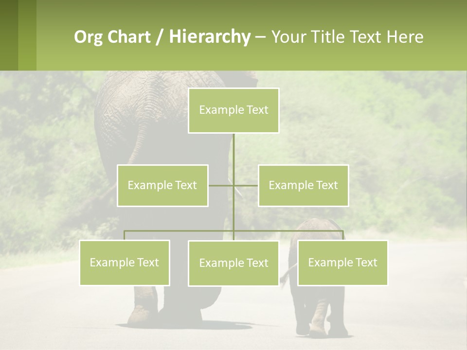 Climate Cool Condition PowerPoint Template