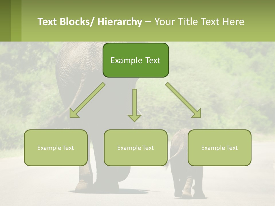 Climate Cool Condition PowerPoint Template