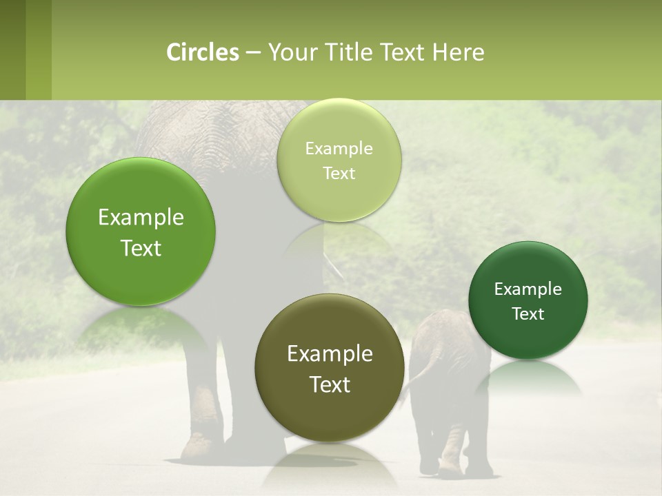 Climate Cool Condition PowerPoint Template