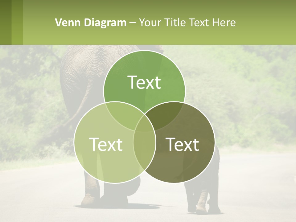 Climate Cool Condition PowerPoint Template