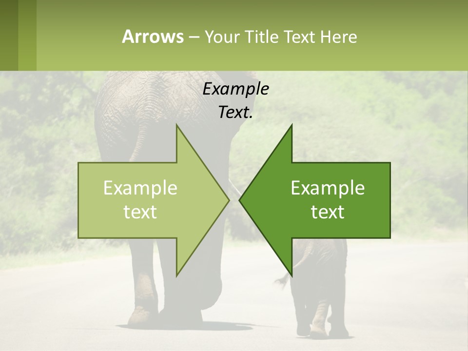 Climate Cool Condition PowerPoint Template