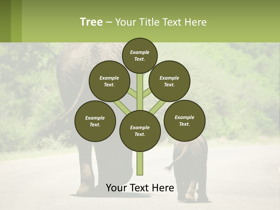 Climate Cool Condition PowerPoint Template