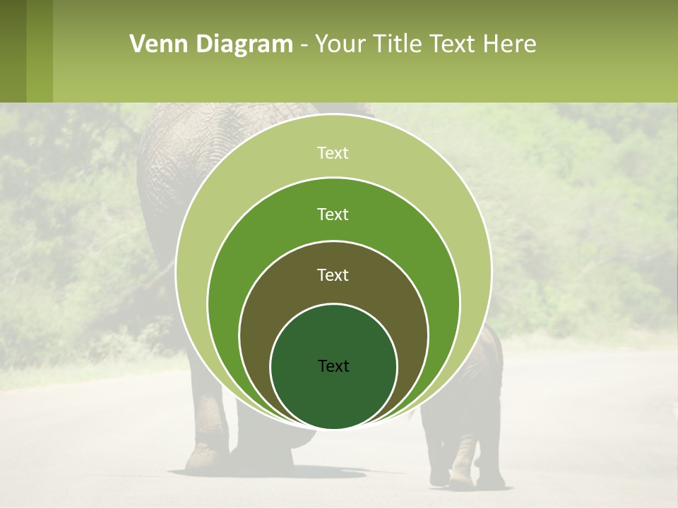 Climate Cool Condition PowerPoint Template