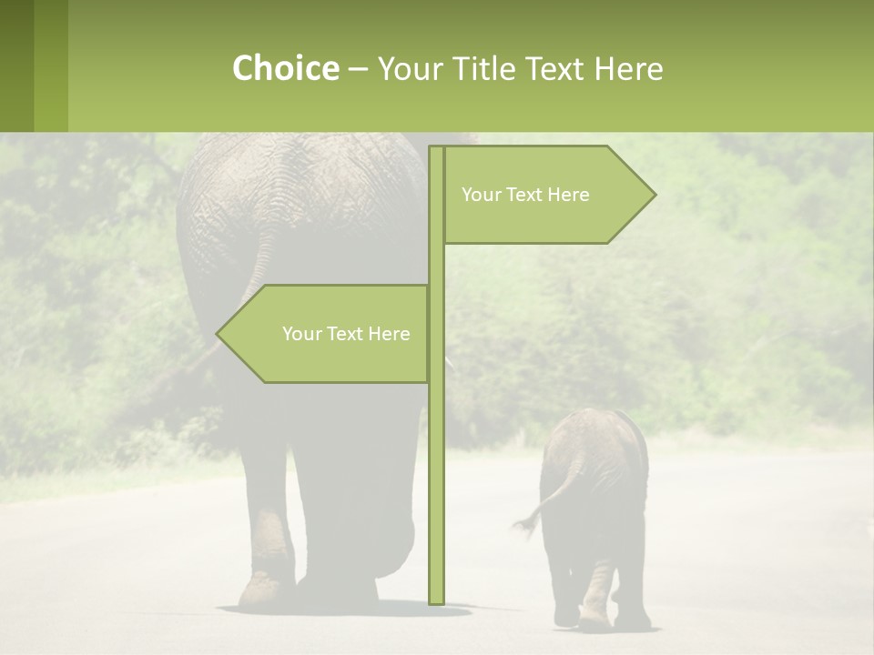 Climate Cool Condition PowerPoint Template