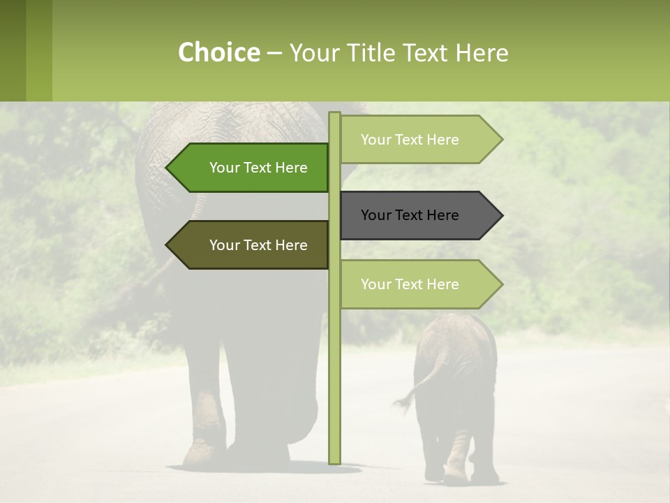 Climate Cool Condition PowerPoint Template