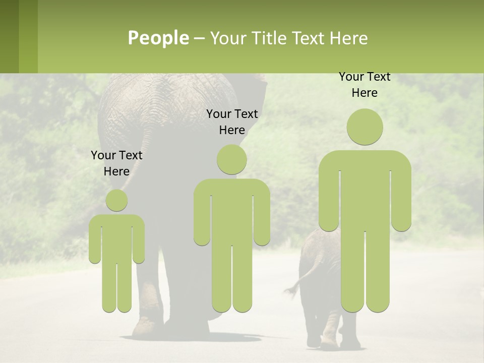 Climate Cool Condition PowerPoint Template