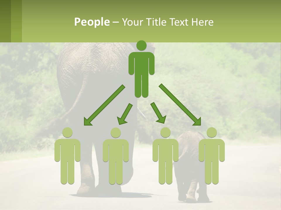 Climate Cool Condition PowerPoint Template