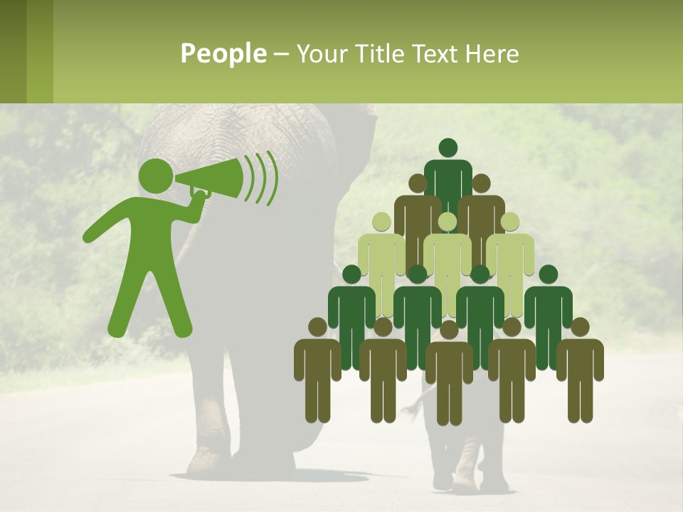 Climate Cool Condition PowerPoint Template