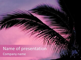 Water Purple Paradise PowerPoint Template