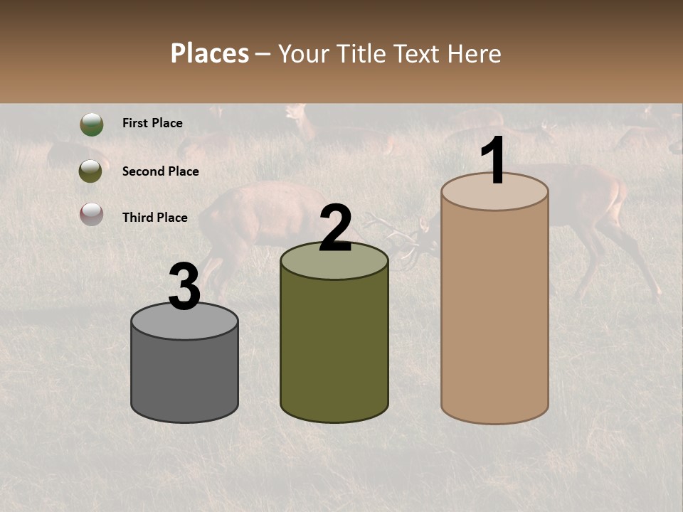 Autumn Stag Grass PowerPoint Template