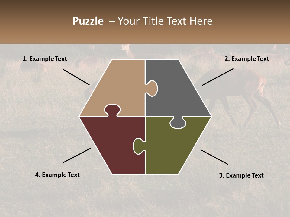 Autumn Stag Grass PowerPoint Template