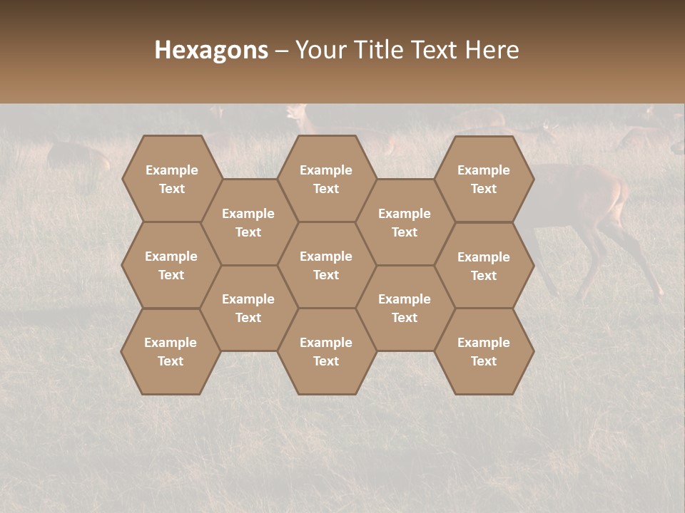 Autumn Stag Grass PowerPoint Template