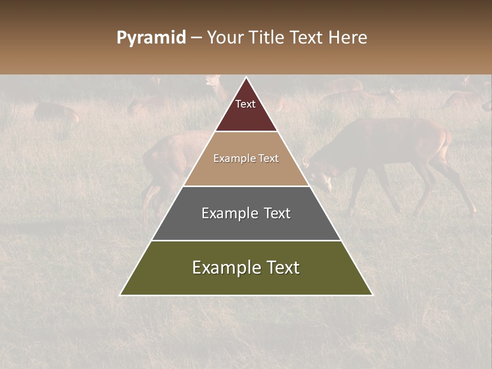 Autumn Stag Grass PowerPoint Template