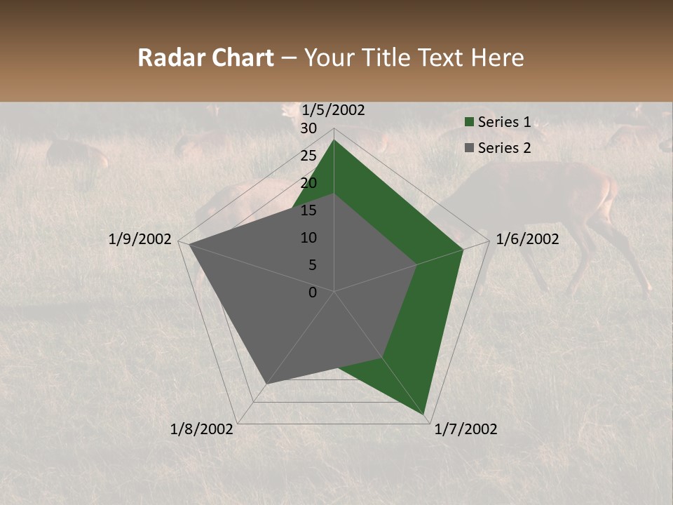 Autumn Stag Grass PowerPoint Template