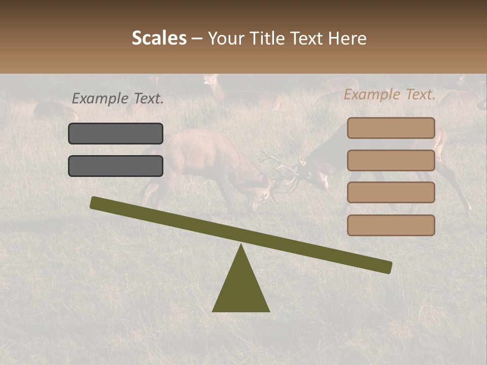 Autumn Stag Grass PowerPoint Template