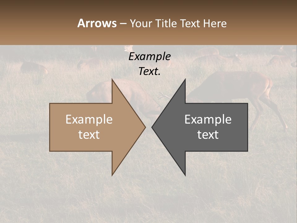 Autumn Stag Grass PowerPoint Template