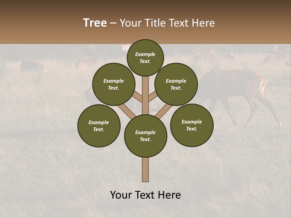 Autumn Stag Grass PowerPoint Template