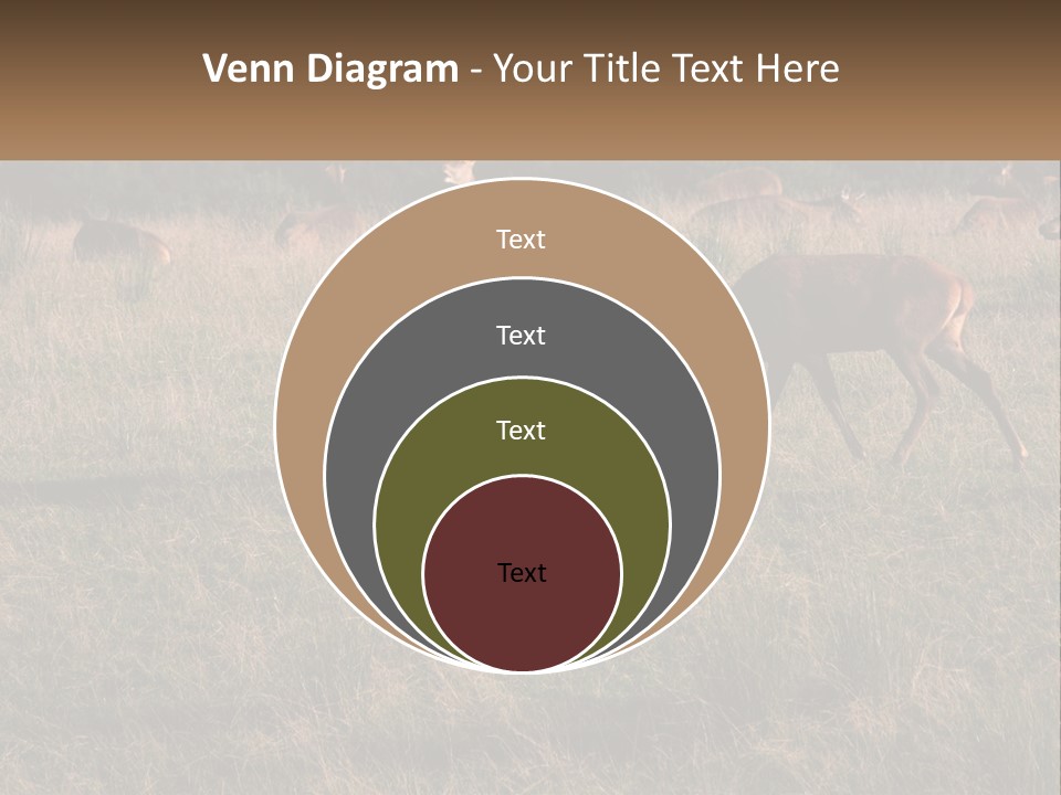 Autumn Stag Grass PowerPoint Template
