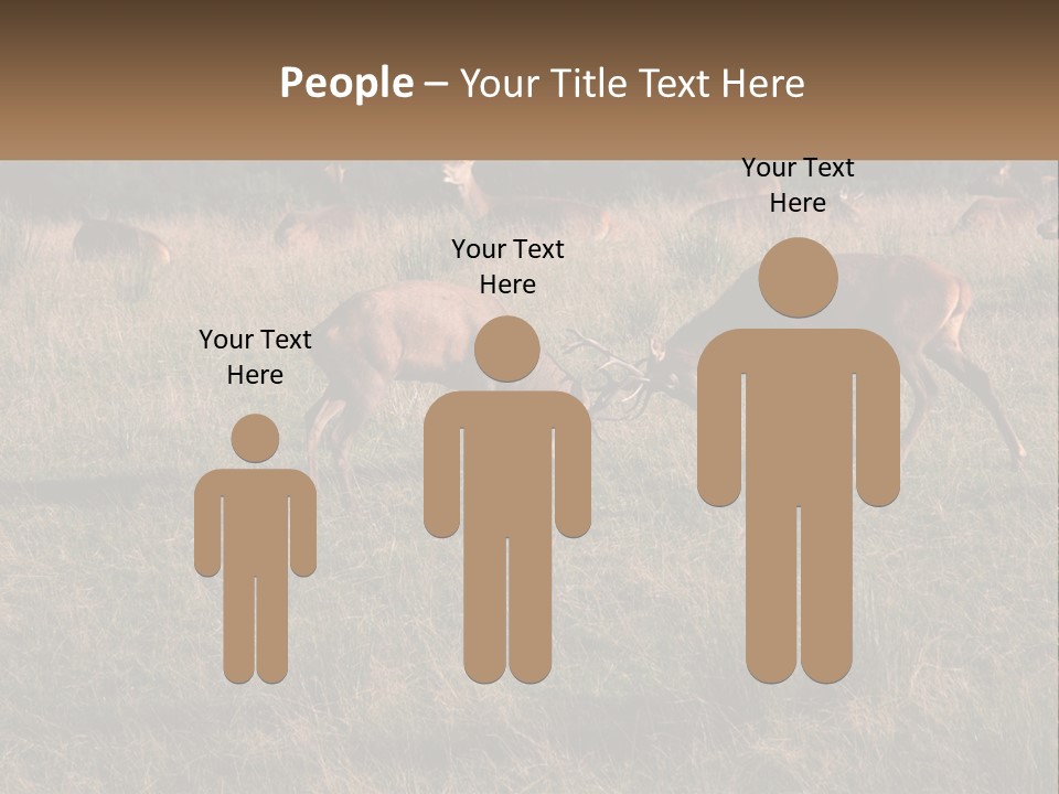 Autumn Stag Grass PowerPoint Template