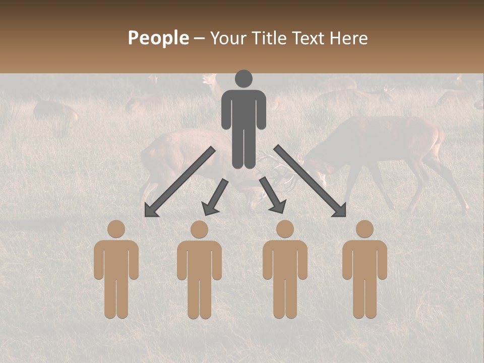 Autumn Stag Grass PowerPoint Template