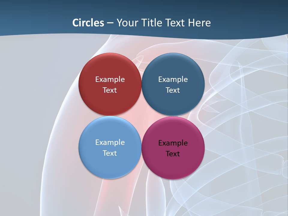 Bones Shoulder Health PowerPoint Template