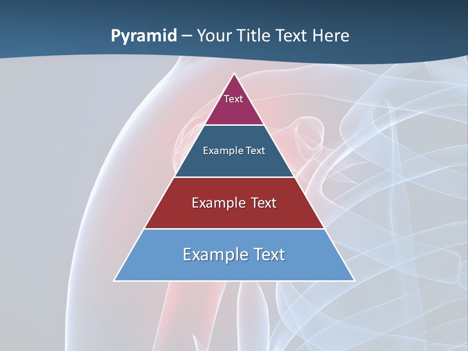 Bones Shoulder Health PowerPoint Template