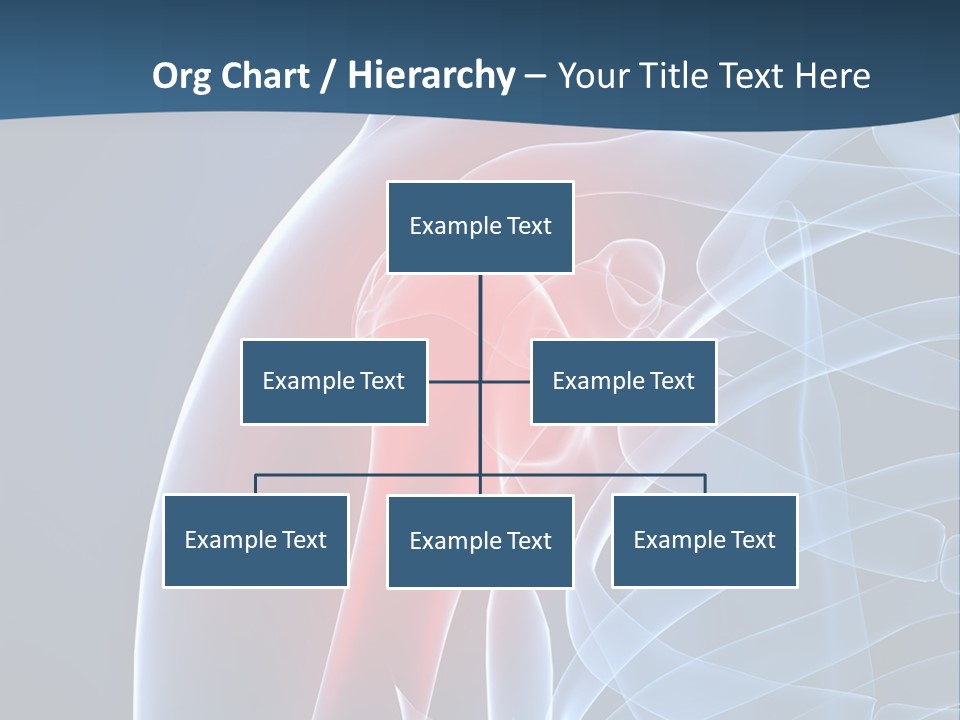 Bones Shoulder Health PowerPoint Template