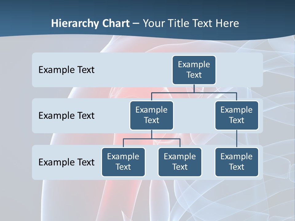 Bones Shoulder Health PowerPoint Template