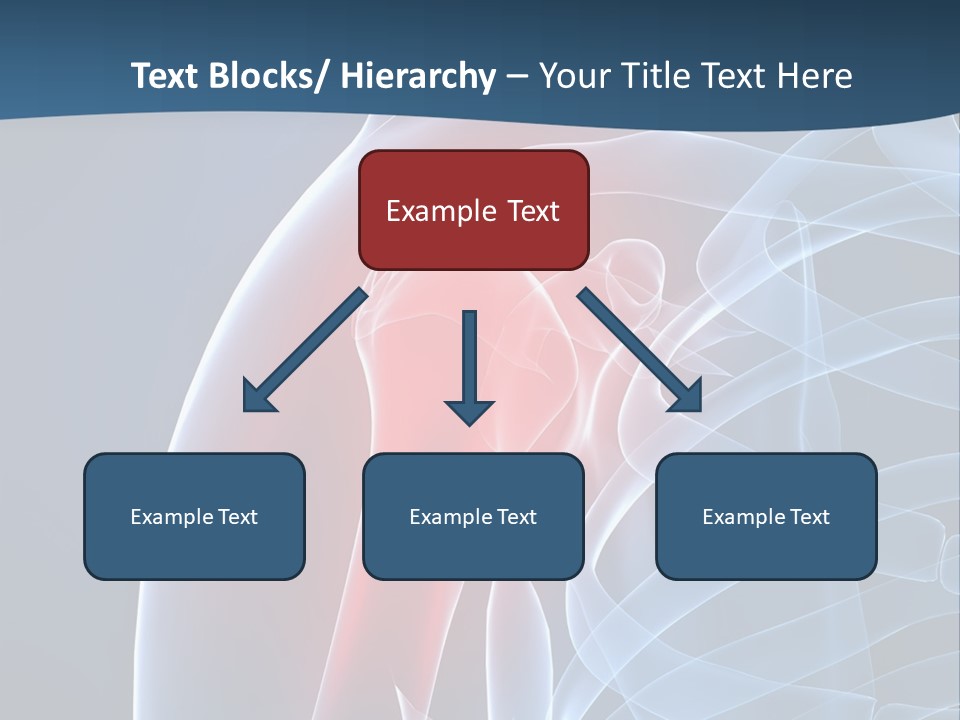 Bones Shoulder Health PowerPoint Template