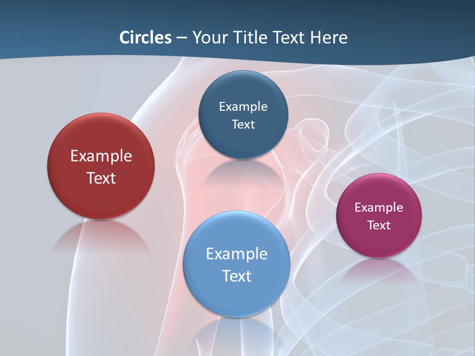 Bones Shoulder Health PowerPoint Template