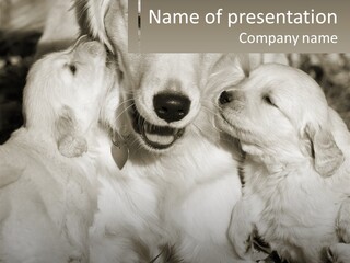 Puppy Breeding Motherhood PowerPoint Template