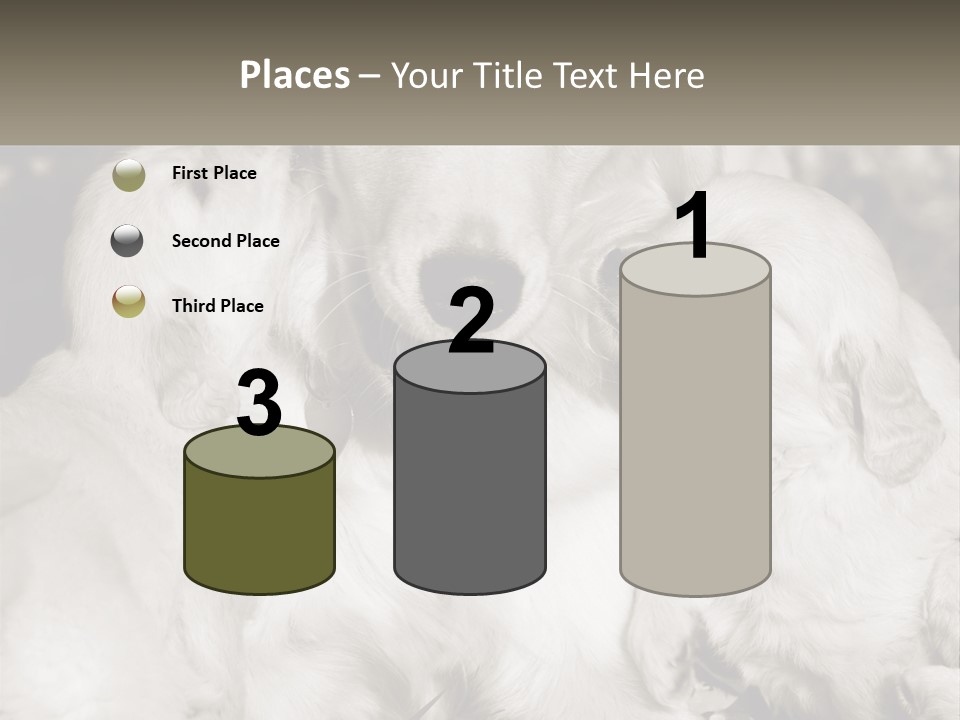 Puppy Breeding Motherhood PowerPoint Template