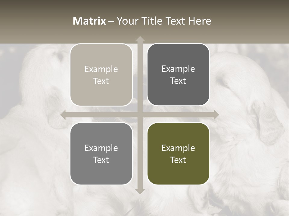 Puppy Breeding Motherhood PowerPoint Template