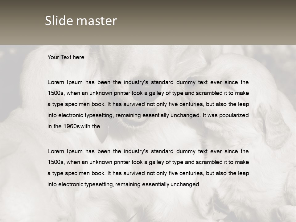 Puppy Breeding Motherhood PowerPoint Template