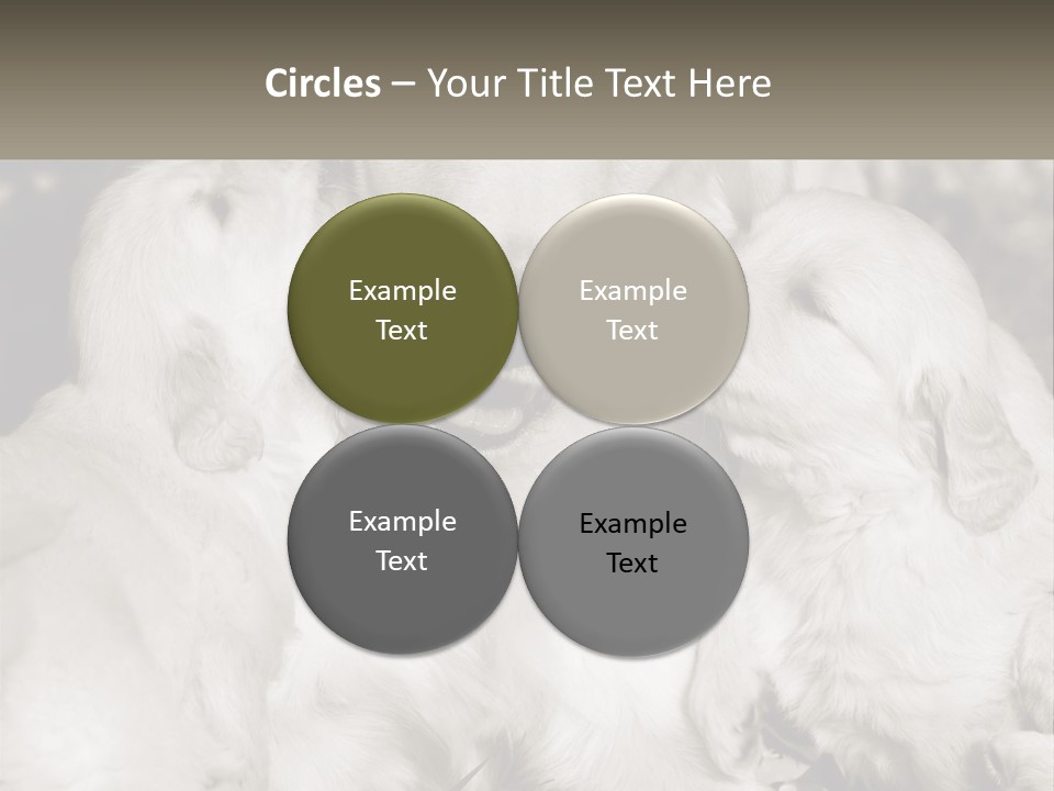 Puppy Breeding Motherhood PowerPoint Template