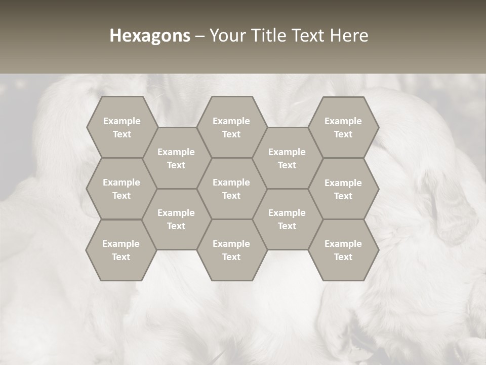 Puppy Breeding Motherhood PowerPoint Template