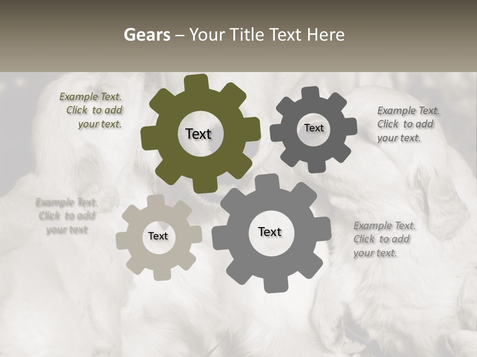 Puppy Breeding Motherhood PowerPoint Template