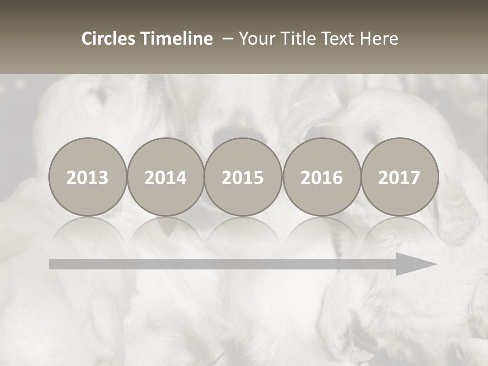 Puppy Breeding Motherhood PowerPoint Template