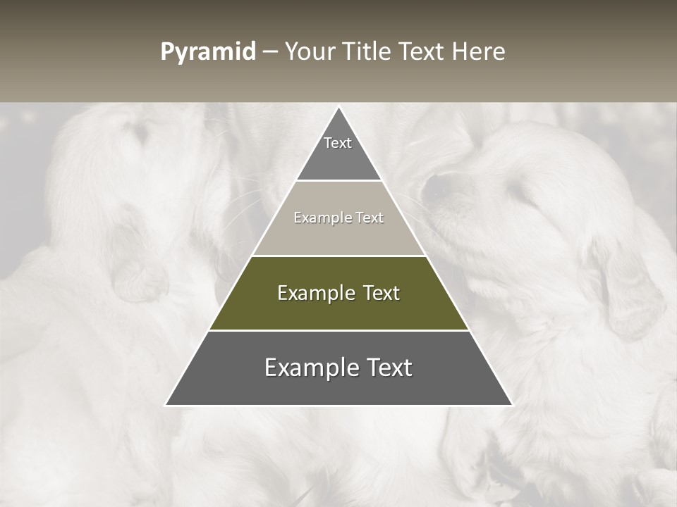 Puppy Breeding Motherhood PowerPoint Template