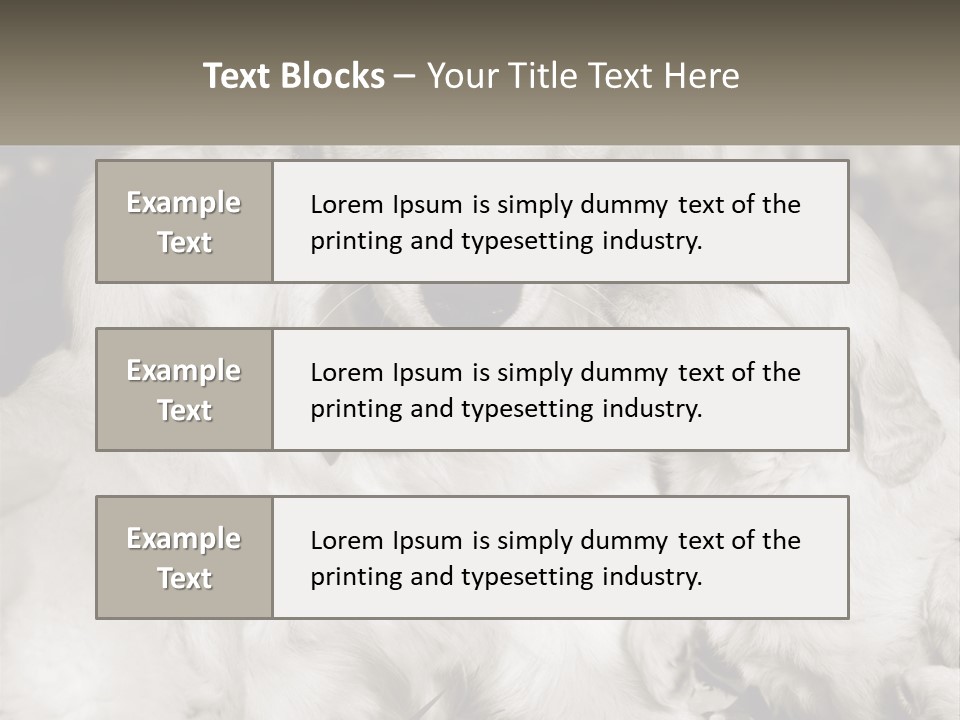 Puppy Breeding Motherhood PowerPoint Template