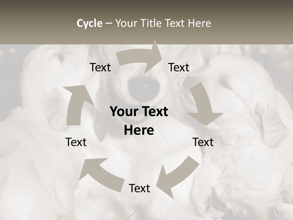 Puppy Breeding Motherhood PowerPoint Template