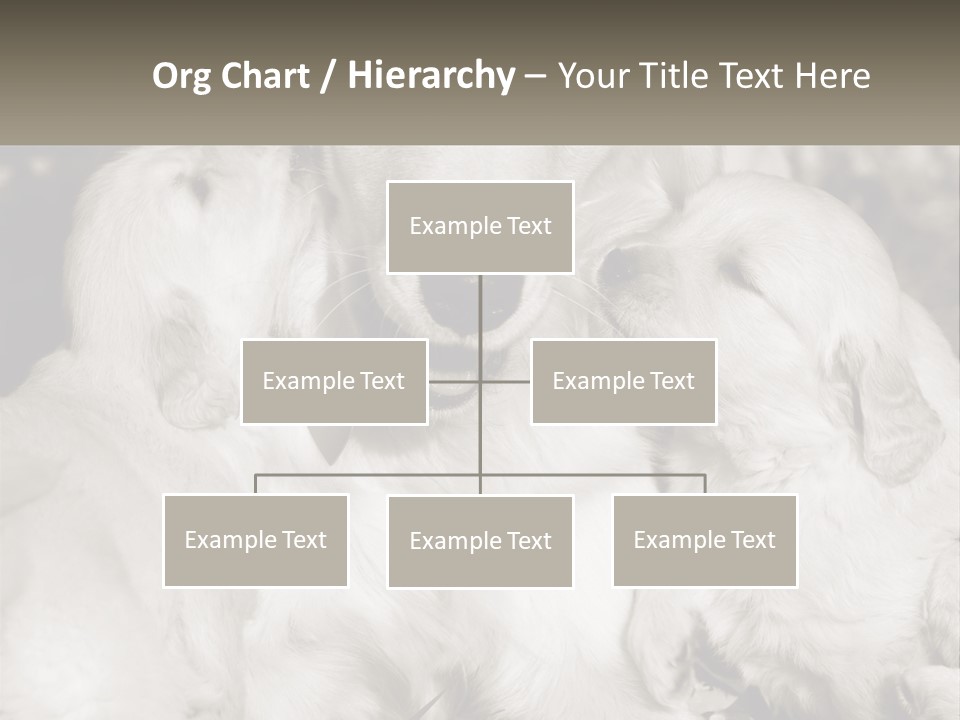 Puppy Breeding Motherhood PowerPoint Template