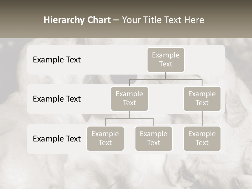 Puppy Breeding Motherhood PowerPoint Template
