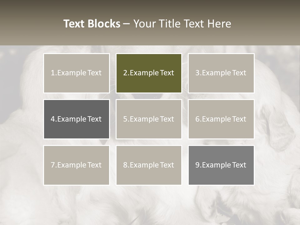 Puppy Breeding Motherhood PowerPoint Template