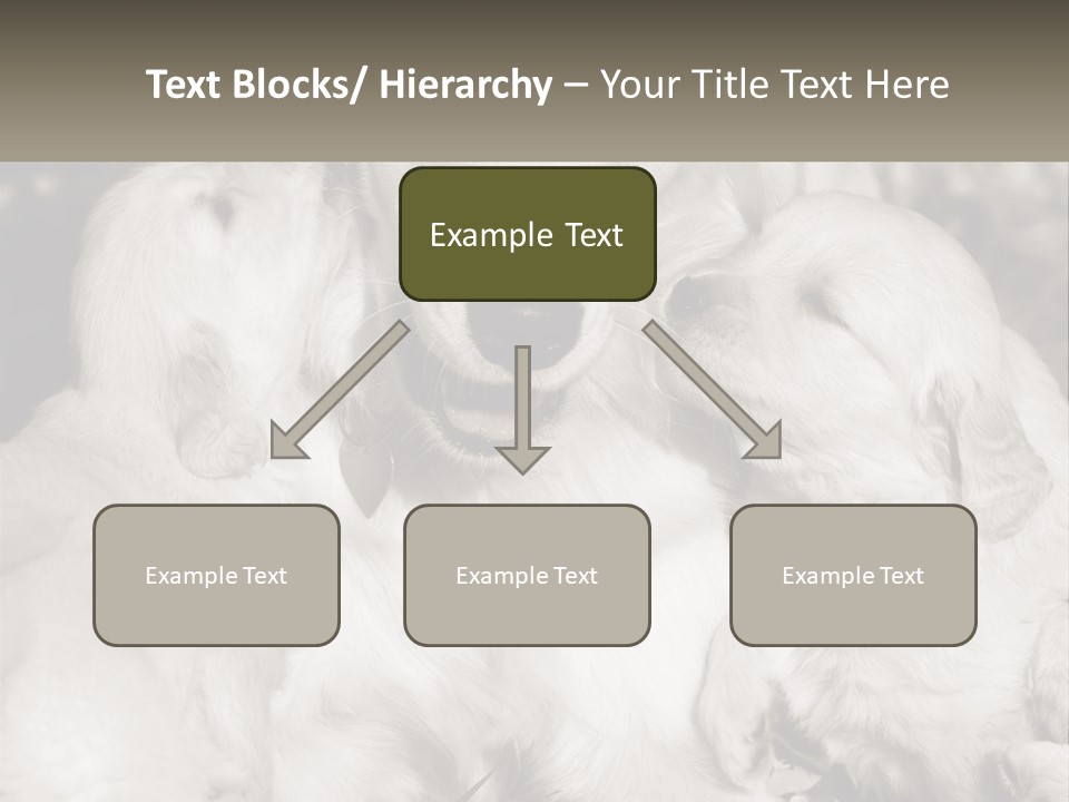 Puppy Breeding Motherhood PowerPoint Template