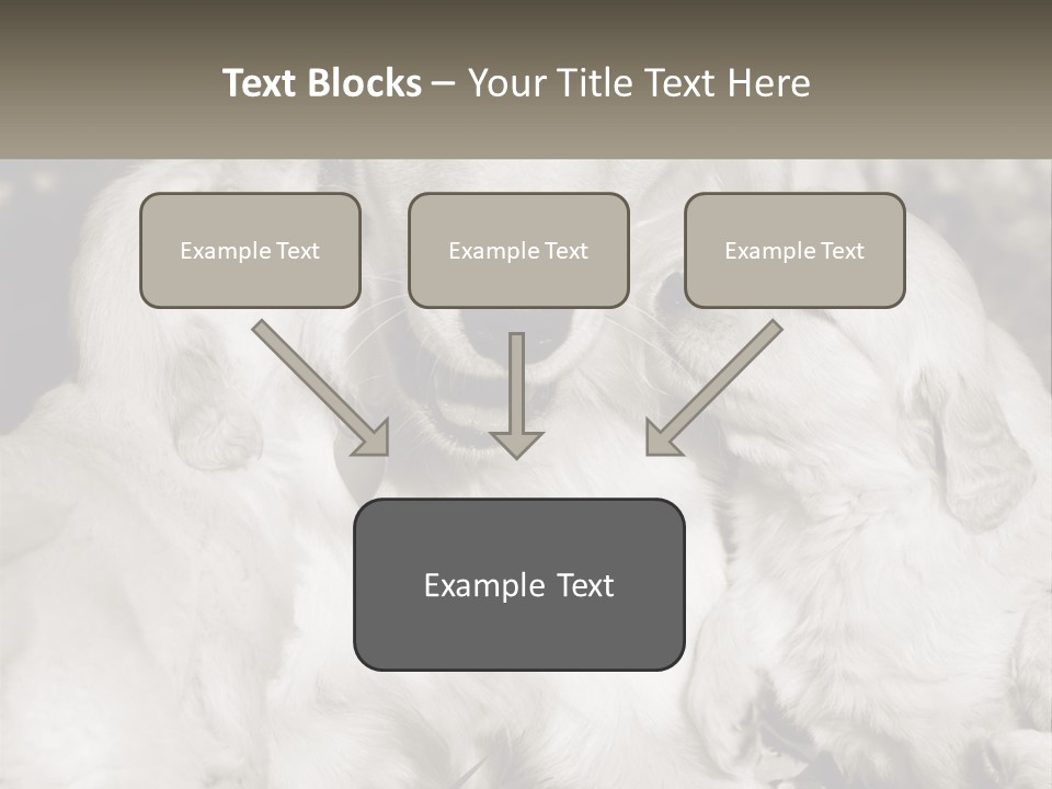 Puppy Breeding Motherhood PowerPoint Template