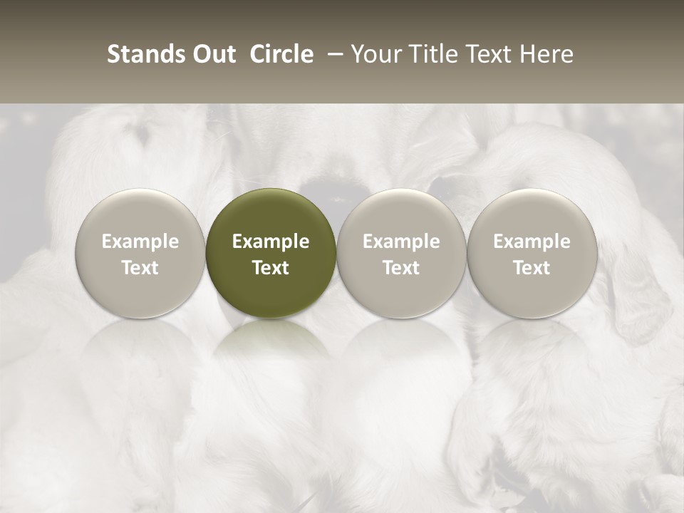 Puppy Breeding Motherhood PowerPoint Template