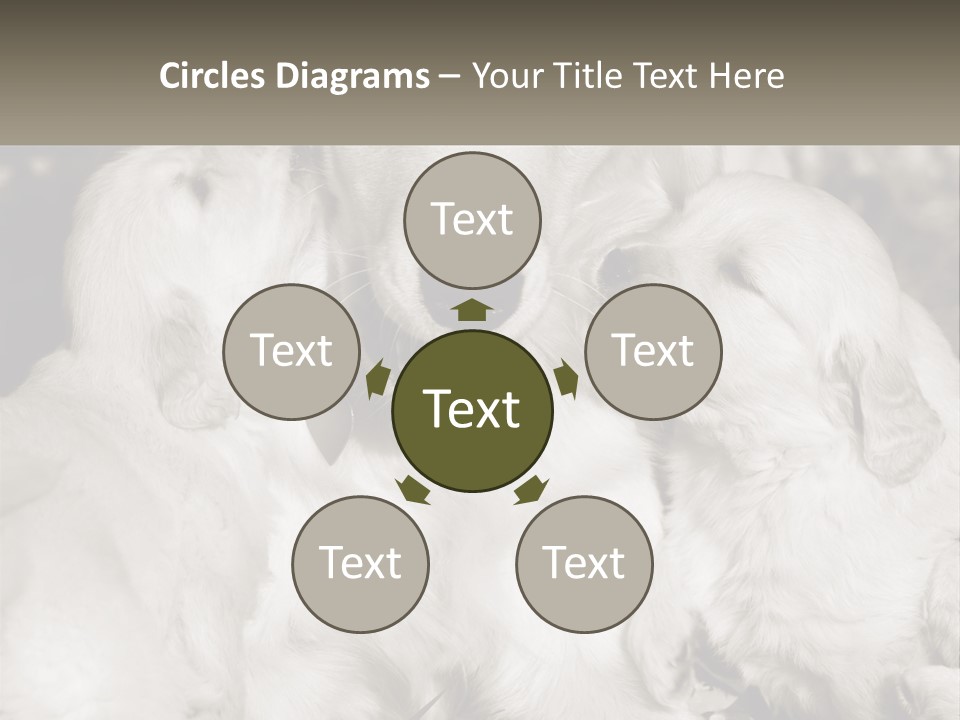 Puppy Breeding Motherhood PowerPoint Template